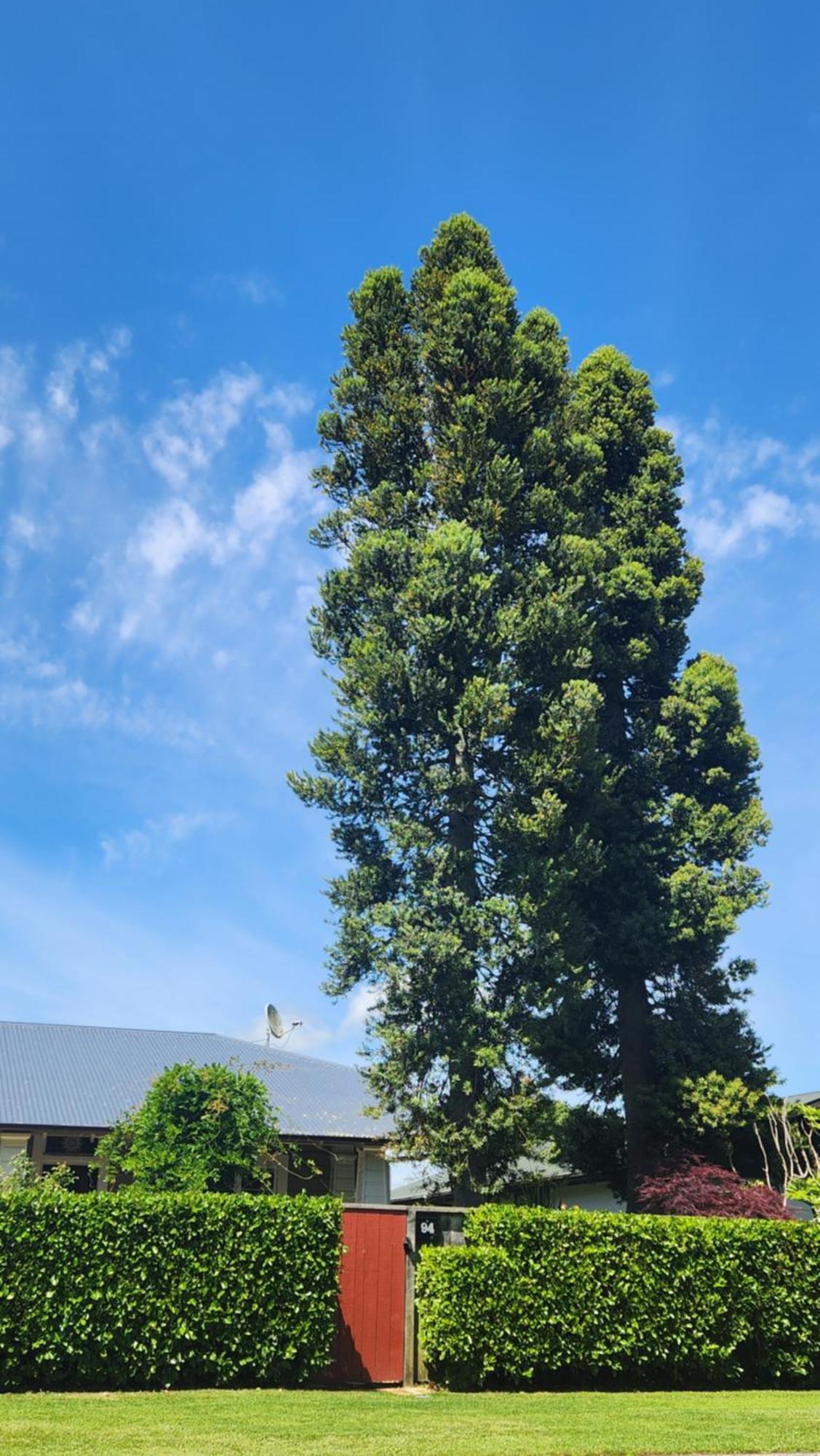 Twin Kauri'S 94 Hotel Cambridge Bagian luar foto